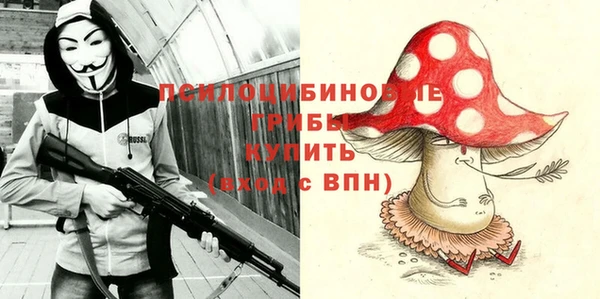 МДМА Медвежьегорск