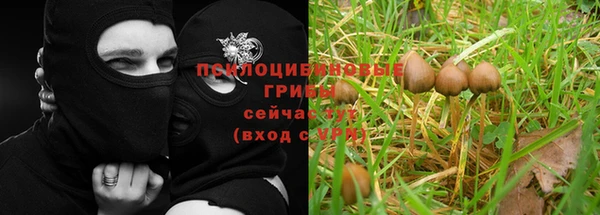 марки nbome Медногорск