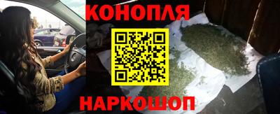 индика Абакан