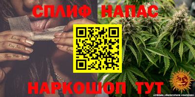 PSILOCYBIN Азнакаево