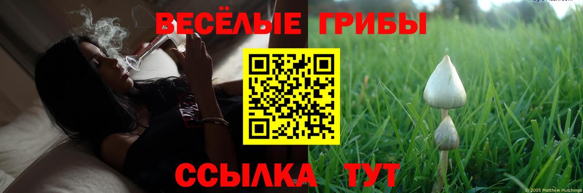 Псилоцибиновые грибы Psilocybine cubensis  Вход с VPN  Псилоцибиновые грибы Psilocybe  Анапа 